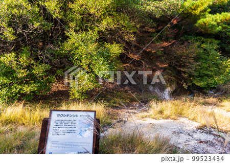 雲仙地獄風　看板案内版「長崎県雲仙市　雲仙地獄風景」 99523434