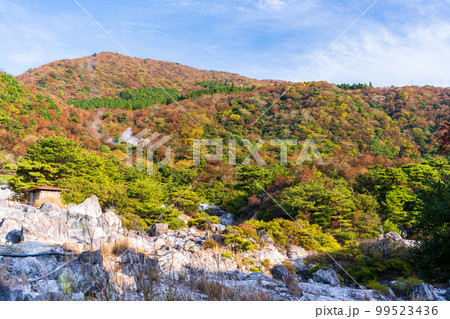 雲仙地獄風景 紅葉風景「湯けむりと硫黄岩」「長崎県雲仙市 雲仙地獄風景」 雲仙地獄風景 紅葉風景「湯けむりと硫黄岩」「長崎県雲仙市 雲仙地獄風景」 99523436