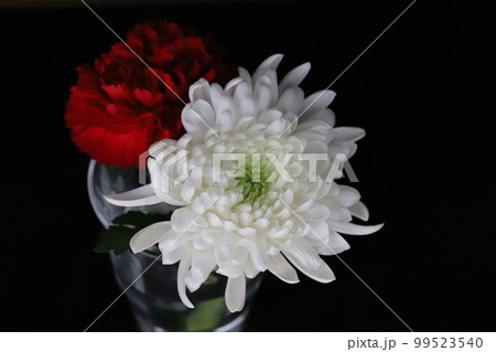 グラスに飾った白い菊の花と赤いカーネーションの花 99523540