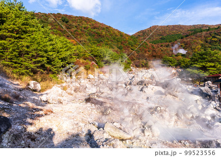 雲仙地獄　紅葉風景「湯けむりと硫黄岩」「長崎県雲仙市　雲仙地獄風景」 99523556