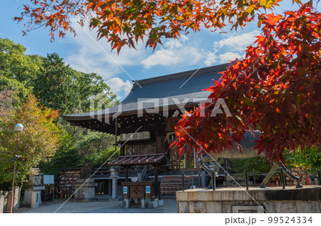 乃木神社の紅葉 99524334