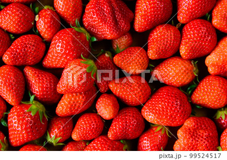 敷き詰められた沢山の赤い苺 敷き詰められた沢山の赤い苺 99524517