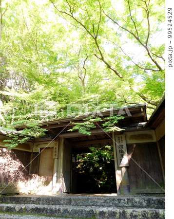 京都 瑠璃光院 門 京都 瑠璃光院 門 99524529