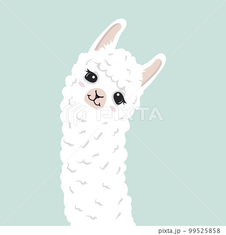 Sweet lama alpaca head with face 99525858