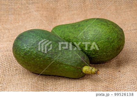 国産アボカド、フェルテの実。麻布背景 99526138
