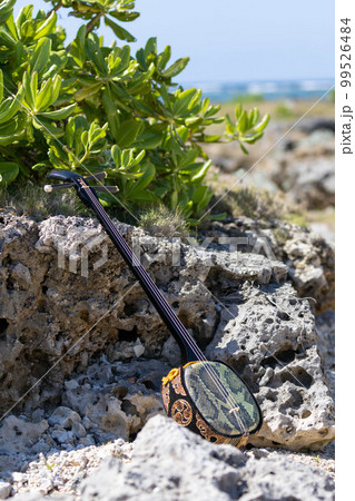 沖縄三線 99526484