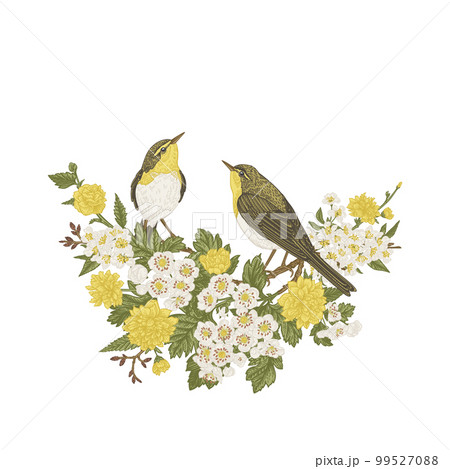 Two birds are sitting on a flowering branch, isolated on a transparent background. Spring trees. Vintage illustration. Yellow and green. You can use for invitations, greetings, a wedding card. 99527088