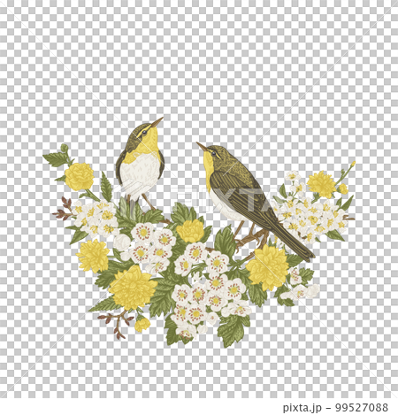 Two birds are sitting on a flowering branch, isolated on a transparent background. Spring trees. Vintage illustration. Yellow and green. You can use for invitations, greetings, a wedding card. 99527088