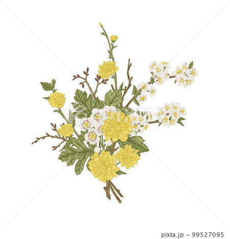 Spring bouquet with blossoming branches of fruit trees isolated on a transparent background. Vintage style. Kerria Japanese, cherry, hawthorn. 99527095