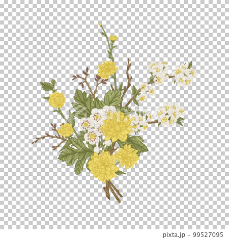 Spring bouquet with blossoming branches of fruit trees isolated on a transparent background. Vintage style. Kerria Japanese, cherry, hawthorn. 99527095