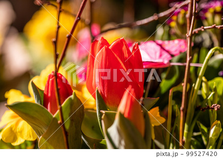 Different flowers and seedlings near the florist flower shop entrance, spring time, easter concept 99527420