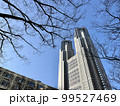 道路から撮影した東京都庁 99527469