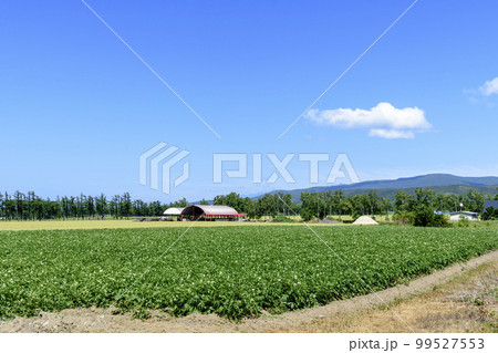 道東 斜里町穀倉地帯を行く 道東 斜里町穀倉地帯を行く 99527553