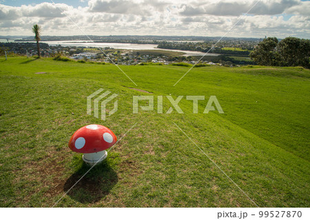 'Mushrooms' on top of Takarunga (Mount Victoria) in Devonport, which are in fact vents for a water pumping station, North Island, New Zealand. 'Mushrooms' on top of Takarunga (Mount Victoria) in Devonport, which are in fact vents for a water pumping station, North Island, New Zealand. 99527870