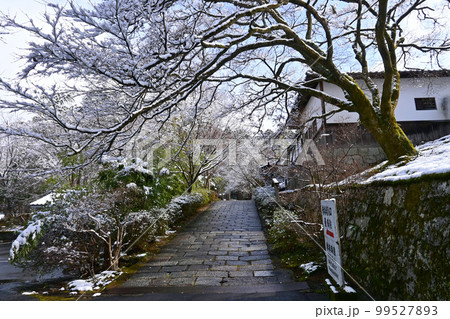 積雪の朝 京都市洛北 曼殊院の参道 99527893