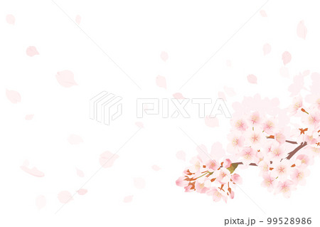 満開の桜と桜吹雪のイラスト、春のイメージの背景素材 99528986