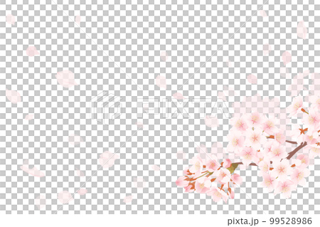 満開の桜と桜吹雪のイラスト、春のイメージの背景素材 99528986