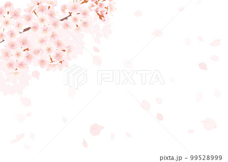 満開の桜と桜吹雪のイラスト、春のイメージの背景素材 満開の桜と桜吹雪のイラスト、春のイメージの背景素材 99528999