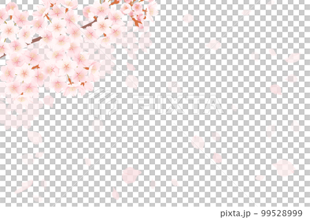 満開の桜と桜吹雪のイラスト、春のイメージの背景素材 満開の桜と桜吹雪のイラスト、春のイメージの背景素材 99528999