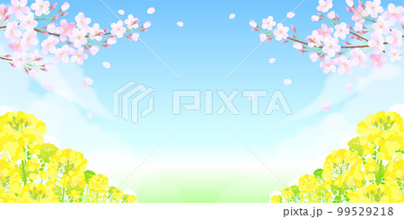 サクラと菜の花 桜 青空 99529218