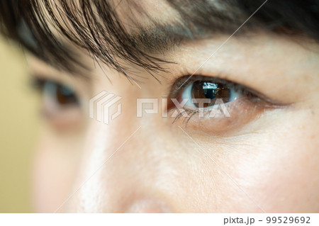 両目　パーツ 99529692