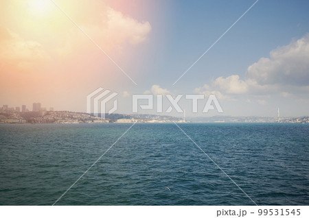 Panorama of. Bosphorus in Istanbul 99531545