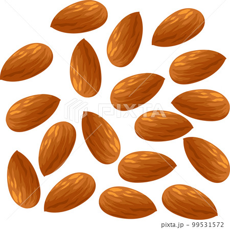 アーモンドのイラスト素材　ベクター 99531572