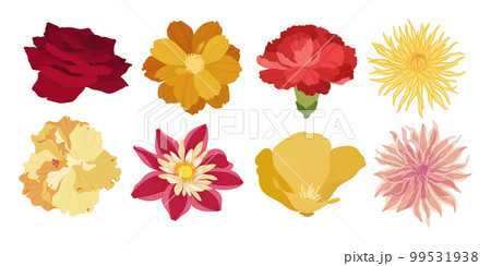 Set of colorful blooming flowers illustration. 99531938