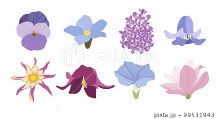 Set of colorful blooming flowers illustration. Set of colorful blooming flowers illustration. 99531943
