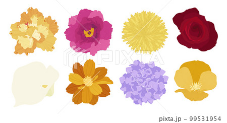 Set of colorful blooming flowers illustration. Set of colorful blooming flowers illustration. 99531954