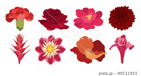 Set of colorful blooming flowers illustration. Set of colorful blooming flowers illustration. 99531955