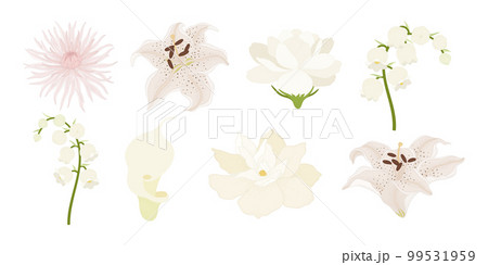 Set of colorful blooming flowers illustration. Set of colorful blooming flowers illustration. 99531959