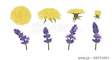 Set of colorful blooming flowers illustration. 99532001