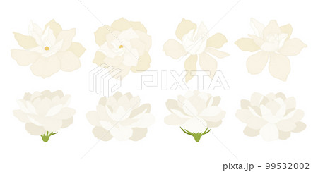 Set of colorful blooming flowers illustration. 99532002