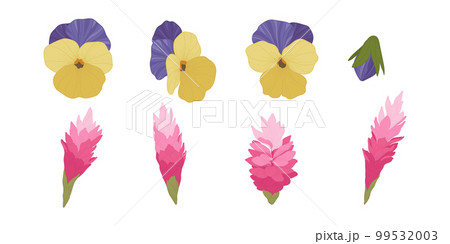 Set of colorful blooming flowers illustration. 99532003