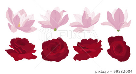 Set of colorful blooming flowers illustration. 99532004