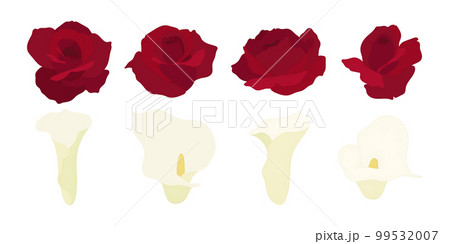 Set of colorful blooming flowers illustration. 99532007
