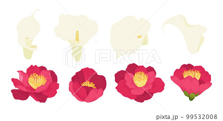 Set of colorful blooming flowers illustration. 99532008