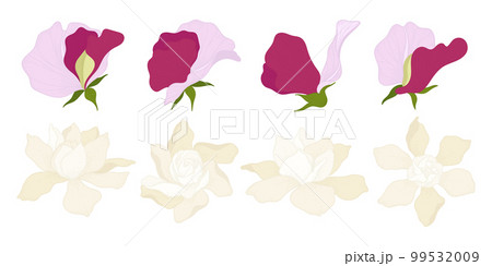 Set of colorful blooming flowers illustration. 99532009