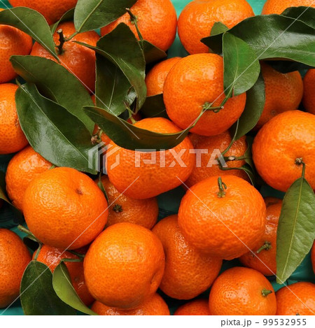 texture background of fresh tangerines with leaves full frame, combination of orange and green colors in a photo of tangerines lying on a flat surface, natural texture of tropical fruits texture background of fresh tangerines with leaves full frame, combination of orange and green colors in a photo of tangerines lying on a flat surface, natural texture of tropical fruits 99532955