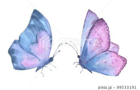 A set of delicate cute blue and lilac butterflies. Watercolor illustration isolated objects on a white background. For decoration, design of romantic, wedding events, textiles, poscards, card making 99533191