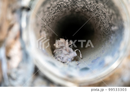 Interior view of dryer vent line with lint and dust buildup Interior view of dryer vent line with lint and dust buildup 99533303