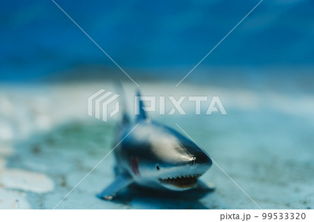 Great white shark plastic toy in an empty swimming pool 99533320