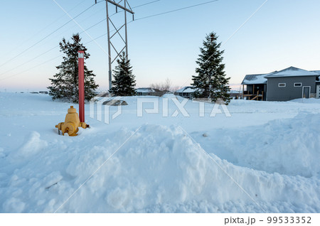 Fire hydrant with a locator protruding from a snow back along a residential street.  99533352