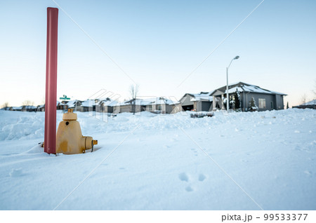 Fire hydrant with a locator protruding from a snow back along a residential street.  99533377