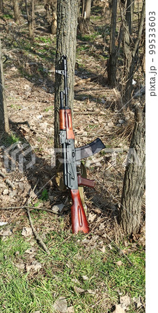 kalashnikov assault rifle ak74n standing at the tree. AK-74 99533603
