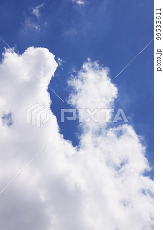 サンパウロの夏の入道雲と青空　ブラジル 99533611