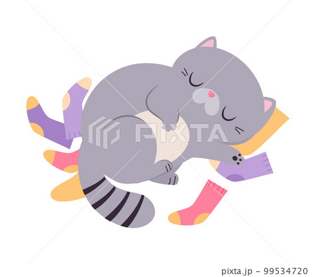 Cute Cat with Grey Coat Lying on Socks and Sleeping Vector Illustration 99534720