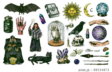 Witch brews a potion in a cauldron. Magic ball, book of spells, black cat, beldam and sorcery, Crow Witch brews a potion in a cauldron. Magic ball, book of spells, black cat, beldam and sorcery, Crow 99534873