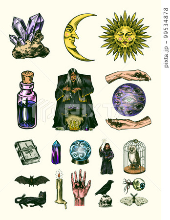 Witch brews a potion in a cauldron. Magic ball, book of spells, black cat, beldam and sorcery, Crow 99534878